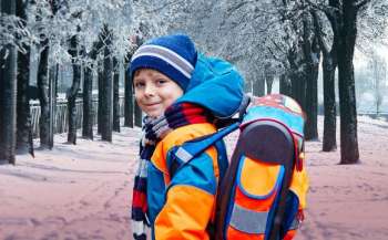 28 shkil perenesli osinni kanikuli na zimovij period 3d0d50f - 28% шкіл перенесли осінні канікули на зимовий період