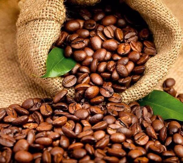 coffee beans 600x534 - Головна