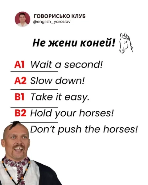 dont push the horses jakij pereklad ta istorija frazi jaku skazav usik 56f1977 - Don't push the horses - який переклад та історія фрази, яку сказав Усик