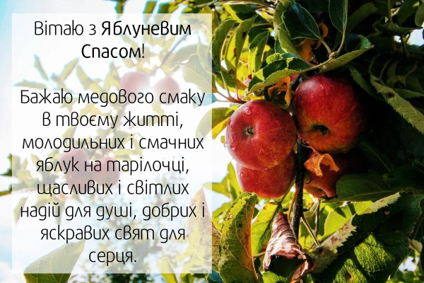 spasa 2025 tradiciyi na preobrazhennja krasivi privitannja u virshah svoyimi slovami 07038a9 - Спаса 2025 - традиції на Преображення, красиві привітання у віршах, своїми словами