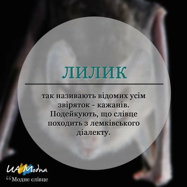 lilik jaku tvarinu nazivajut tak ukrayinci 9ec3134 - Лилик: чия це назва в Україні?
