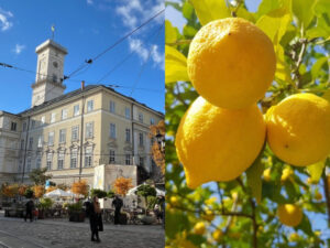 limoni vid monobanku jakimi cikavimi slovami z lvivskogo dialektu opisati lihomanku f005ea2 300x225 - Українські найменування осінніх квітів: нюанси з чорнобривцями та жоржинами