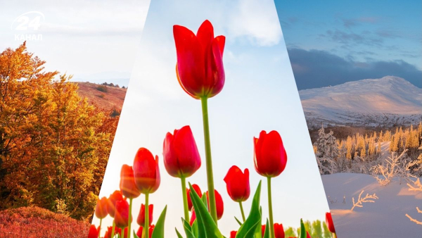 Дванадцять місяців українською: коректні назви та їх витоки