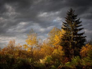 zatishshja pered bureju jake znachennja ta pohodzhennja vislovu shho vin opisuye af931f9 300x225 - Вчительські заробітки у різних країнах: де найвища оплата праці педагогів