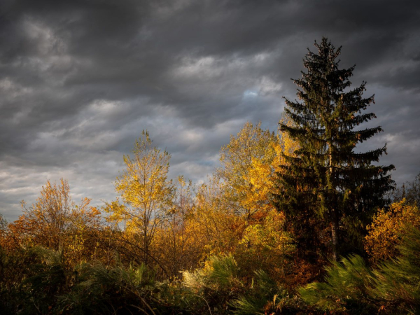Спокій перед штормом: зміст і коріння фрази, її опис