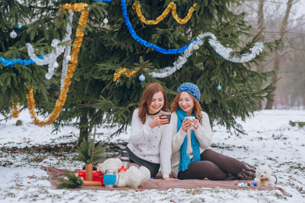 Зимовий відпочинок школярів України: дати канікул у чернівецьких школах zimovi kanikuli u shkolah ukrayini koli vidpochivatimut uchni u chernivcjah abe6d50 - Зимовий відпочинок школярів України: дати канікул у чернівецьких школах