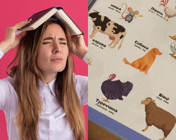 osvita ukrayinciv za kordonom divovizhni netochnosti u zakordonnomu pidruchniku pomicheni ukrayinkoju 952dfc2 - Освіта українців за кордоном: дивовижні неточності у закордонному підручнику, помічені українкою.