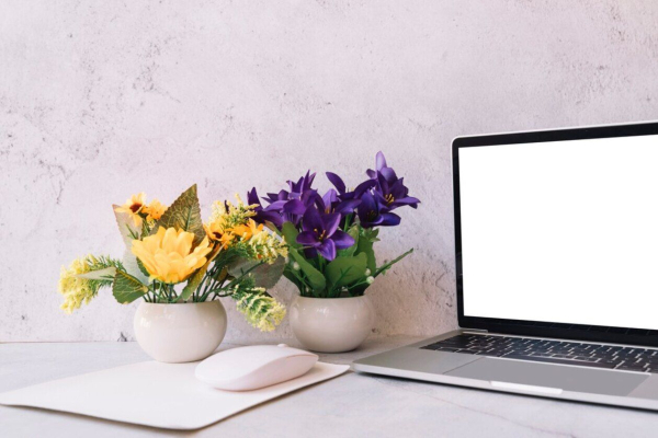 chi pravilno spochatku abo z pochatku cikava gramatichna norma 0557fd1 - Головна