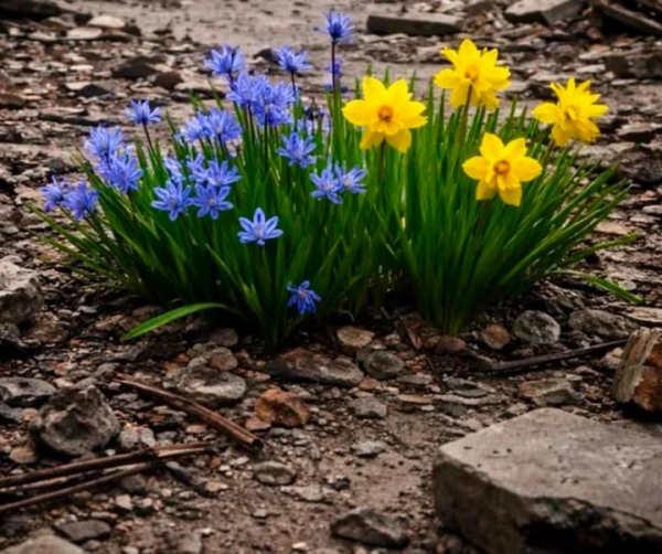 Ротару емоційно відзначила річницю початку повномасштабної війни. e76335c4f7bc6b3a042667c82207f528 - Ротару емоційно відзначила річницю початку повномасштабної війни.