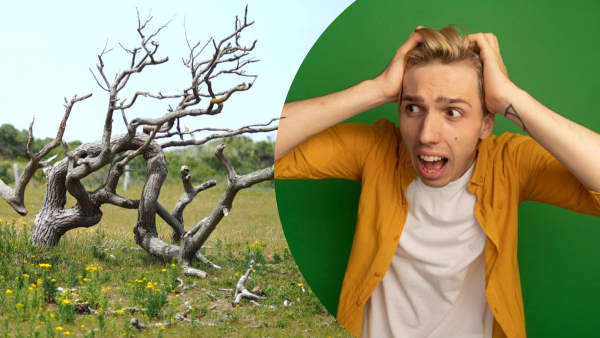 Головна kostrubatij znachennja slova ta dorechnist vzhivannja 4287c28 - Головна