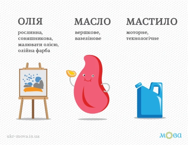 kulinarija ukrayinskoju nazvi strav ta gotuvannja 1762353 - Кулінарія українською: назви страв та готування
