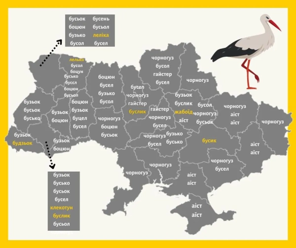 leleka ukrayinska nazva ptaha c055f29 - Лелека: українська назва птаха