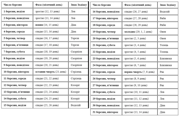 Березневий посівний календар: ключові рекомендації для багатого врожаю 30af4efc44f37a1e4478760c5f64d18f - Березневий посівний календар: ключові рекомендації для багатого врожаю