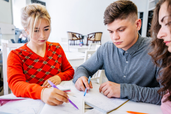 Головна cina navchannja na menedzhment u 2026 vartist specialnosti v universitetah 539a4ce - Головна