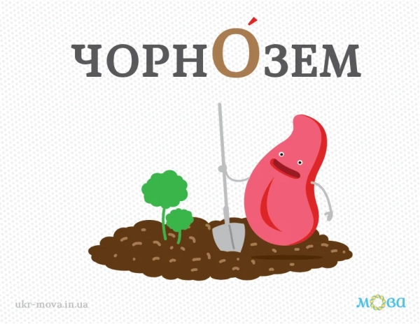 de nagoloshuvati chornozem 489230d - Де наголошувати "чорнозем"?