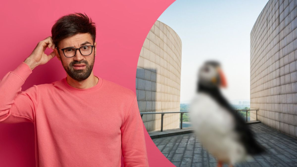 zaglushka sinonimi v ukrayinskij f58213c - Заглушка: синоніми в українській?