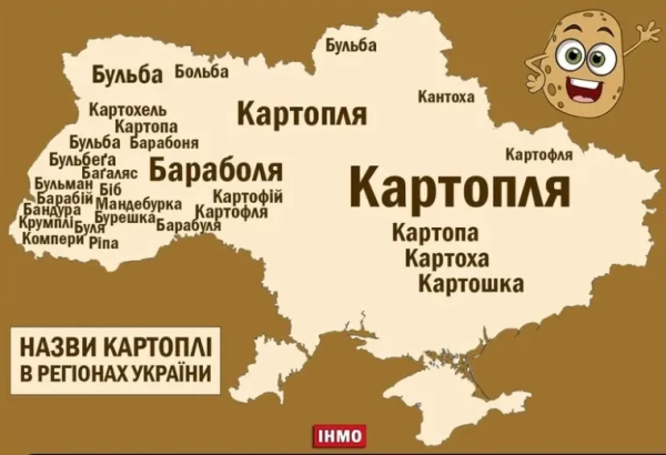 nazvi ukrayinskih ovochiv kukurudza garbuz krip 2a9b09b - Назви українських овочів: кукурудза, гарбуз, кріп