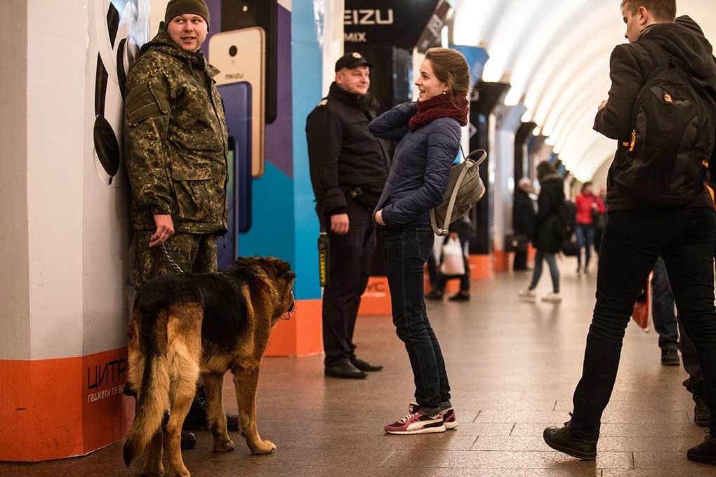 1e2b00267de48ab354adb86b8cb5db9b - Собаки в метро та аеропорту: життя під землею та в повітрі