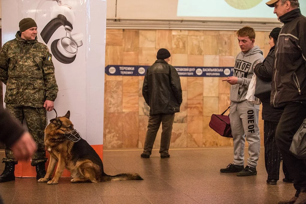 9e50e83ffe2337e5d37f6f7f0829a434 - Собаки в метро та аеропорту: життя під землею та в повітрі
