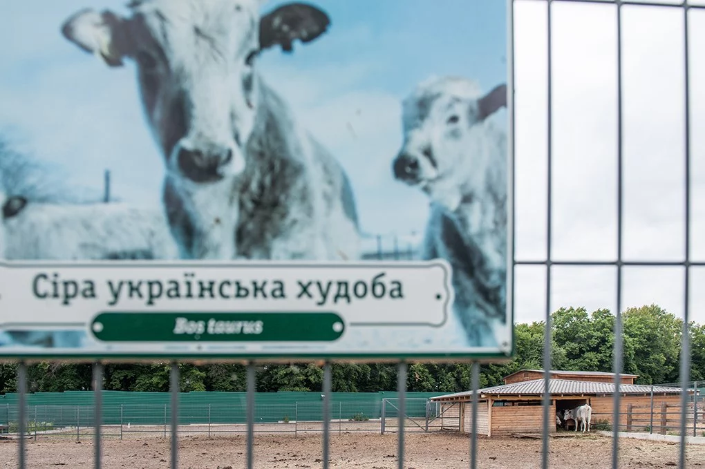 fddbdd4004d4e5f3c0bf57f33e9cea6e - Зоолог Межигір'я: будні охоронця дикої природи