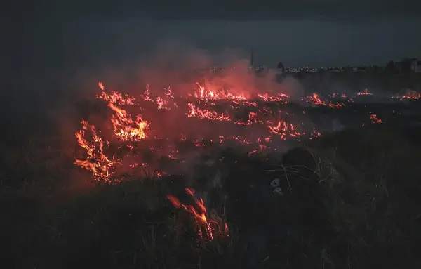 Спалюючи суху траву, ви наражаєте себе на небезпеку